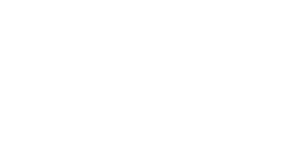 ekomax